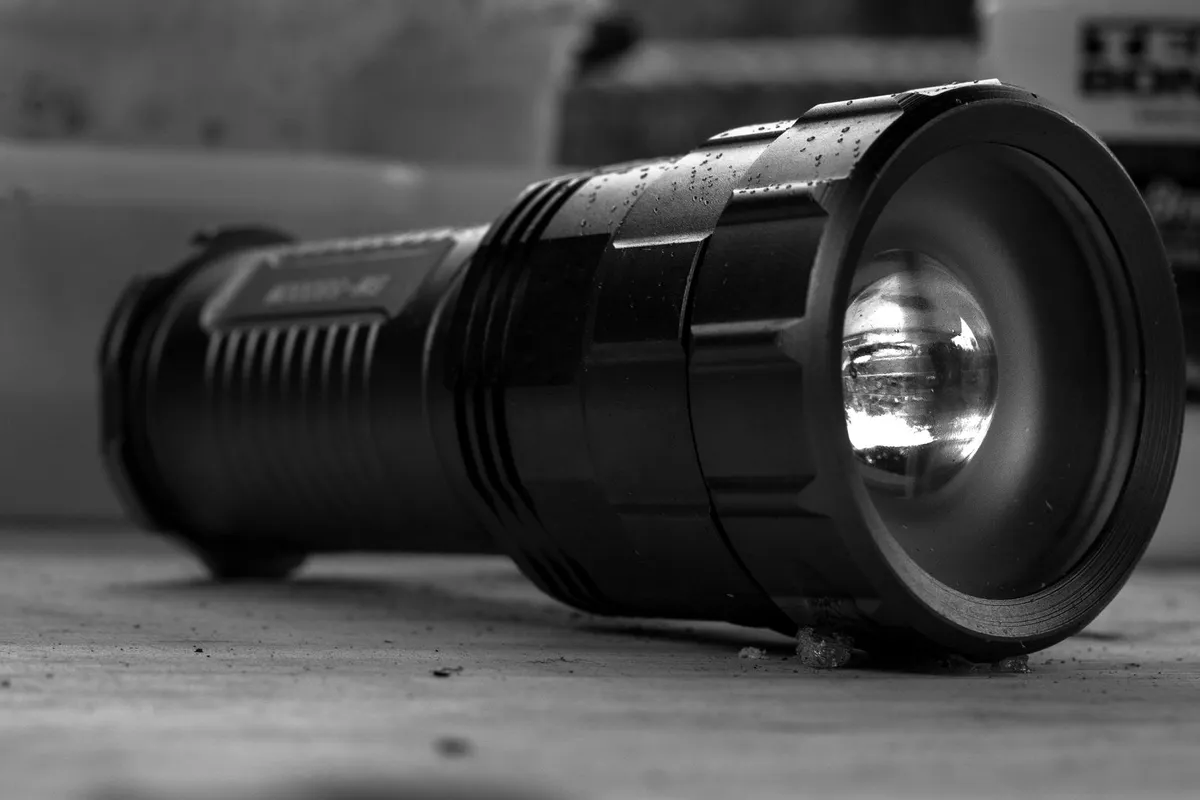 Technician inspecting a wooden sill plate in a basement with a flashlight