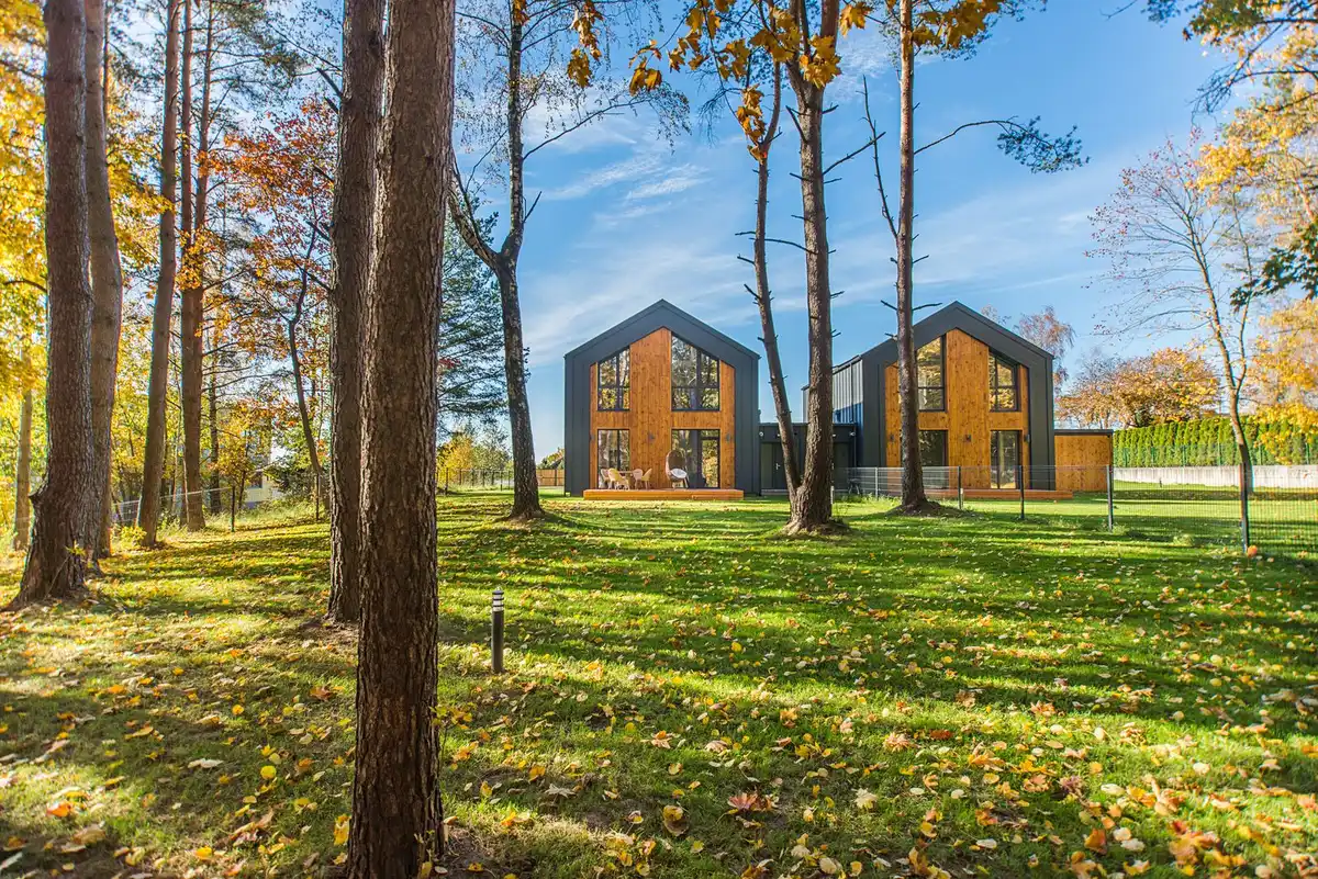 Backyard lawn that meets a wooded edge with leaf litter