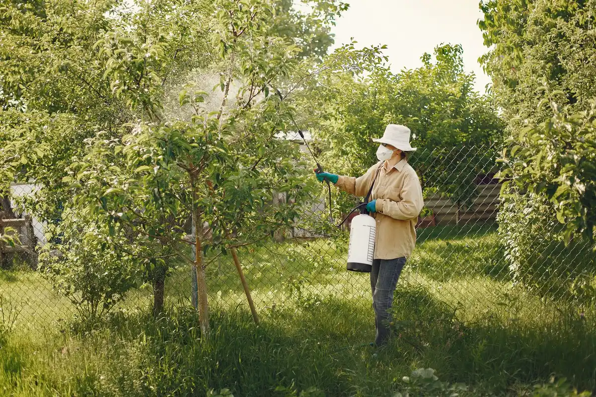 Technician in protective gear treating shrubs along a house foundation