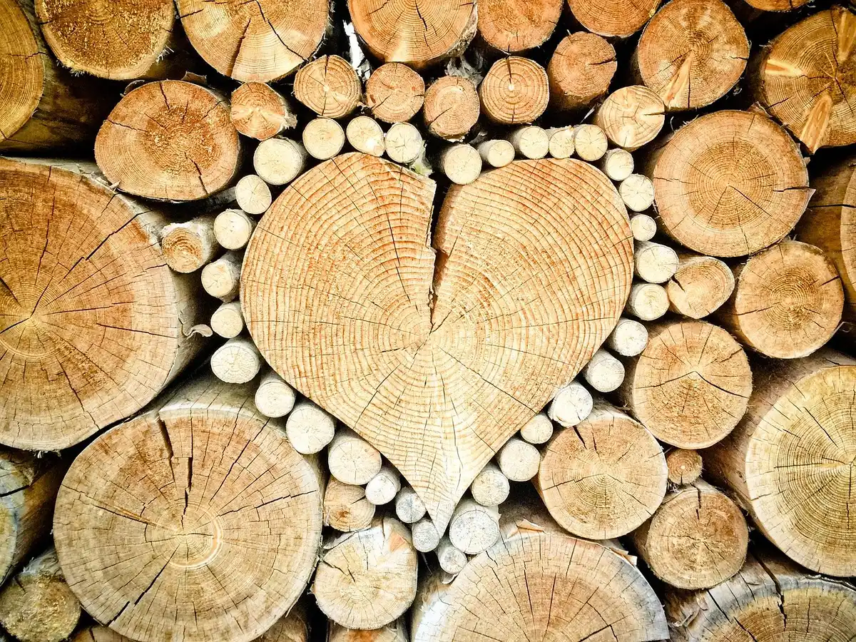 Firewood stacked on a raised rack away from a house
