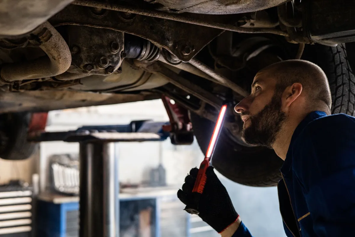 Pest control technician inspecting a basement wall with a flashlight